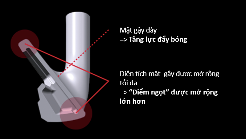 Gậy sắt Honma Tour World XP-1 VIZARD 43 (#4-11, SW)