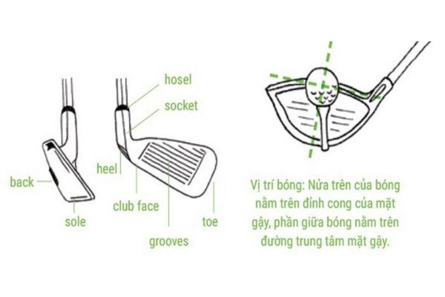 Tìm hiểu các kích thước bộ golf tiêu chuẩn hiện nay