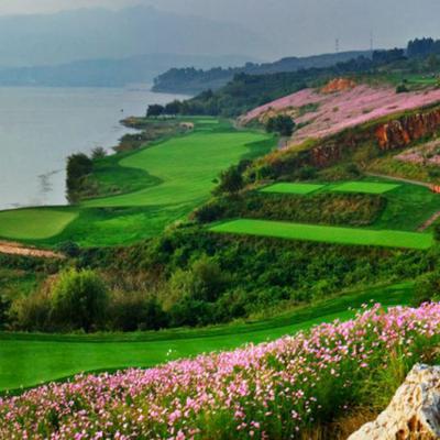 Sân golf Sài Gòn – điểm đến lý tưởng cho các tay golf