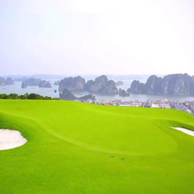 Hệ thống sân golf FLC và những điều có thể bạn chưa biết 