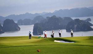 Hệ thống sân golf FLC và những điều có thể bạn chưa biết 