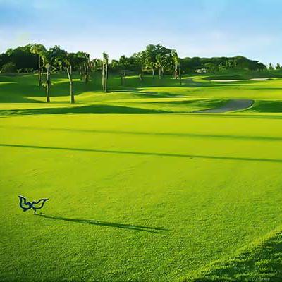 Sân Golf Twin Doves - Điểm Đến Hoàn Hảo Cho Những Tín Đồ Gôn