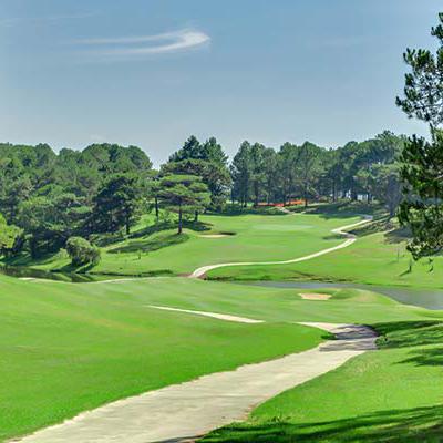 Dalat Golf Club - Trải Nghiệm Golf Đỉnh Cao Giữa Lòng Thành Phố Ngàn Hoa