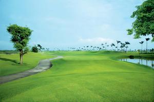 Taekwang Jeongsan Country Club - Trải nghiệm chơi golf phong cách Hàn Quốc