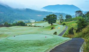 Sân Golf The Dàlat at 1200: Thiên Đường Golf Trên Cao Nguyên